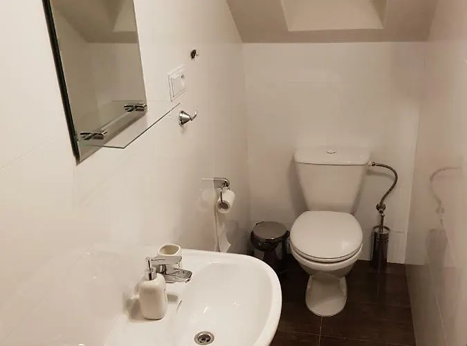 게스트하우스 Pizzeria Alzbetka 3*